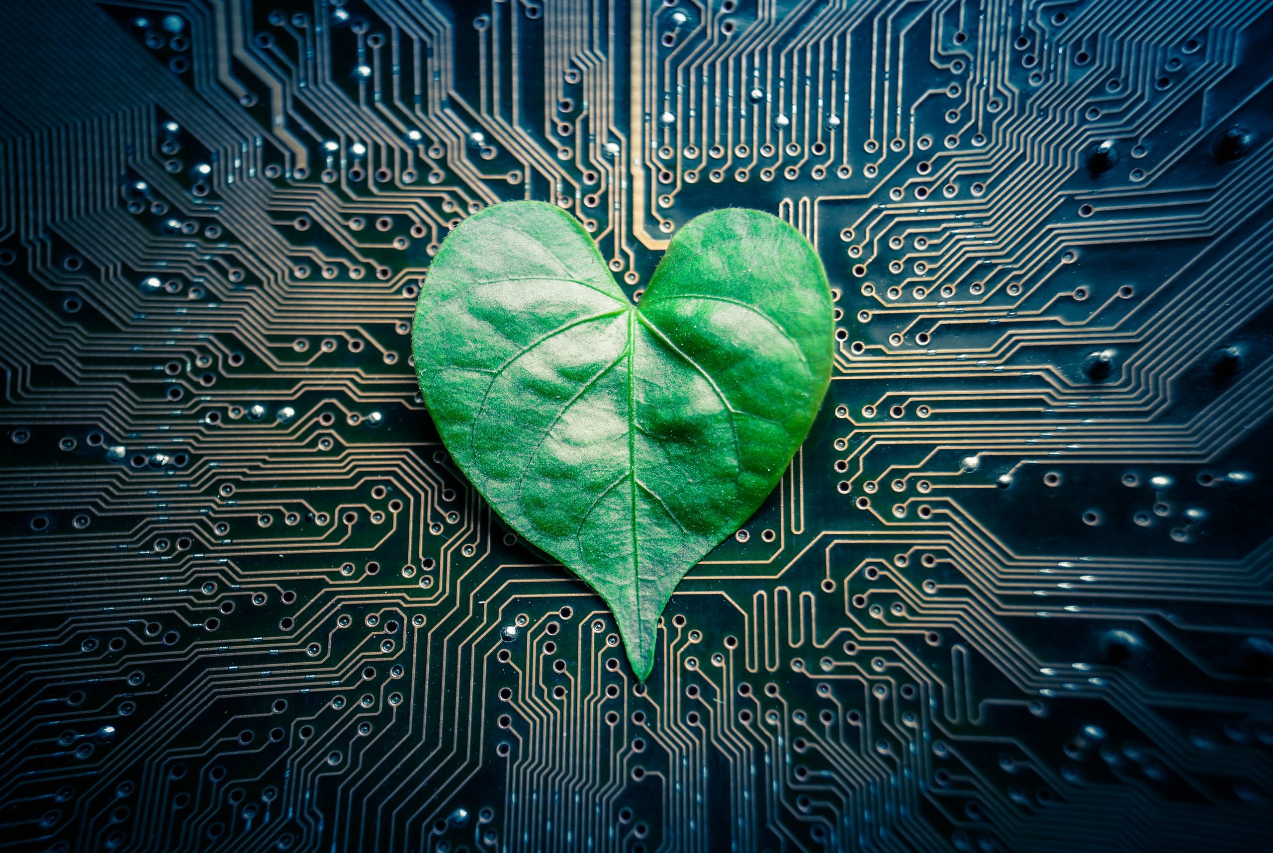 Green Computing